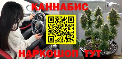 дживик Дубна