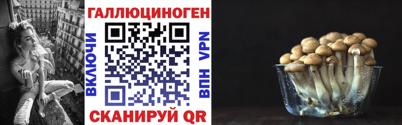 Псилоцибиновые грибы MAGIC MUSHROOMS  гидра зеркало  Медногорск 
